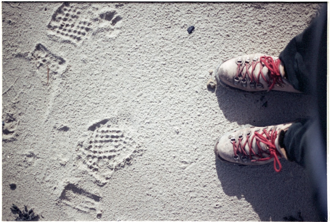 comfortable walking shoes cover image